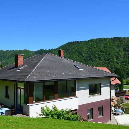 Haus Donaublick Daire Engelhartszell Dış mekan fotoğraf