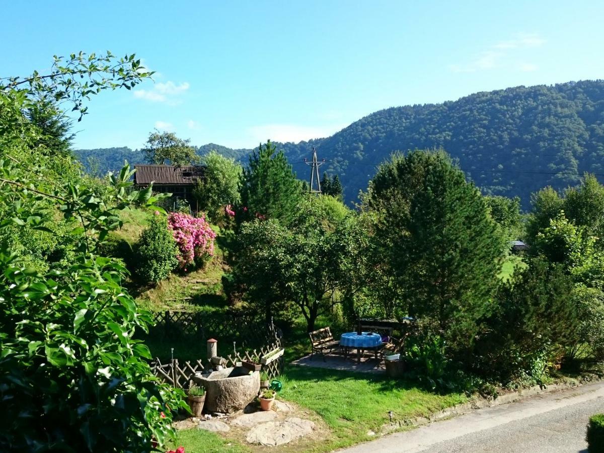 Haus Donaublick Daire Engelhartszell Dış mekan fotoğraf